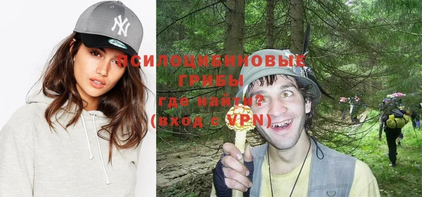 гашиш Бородино